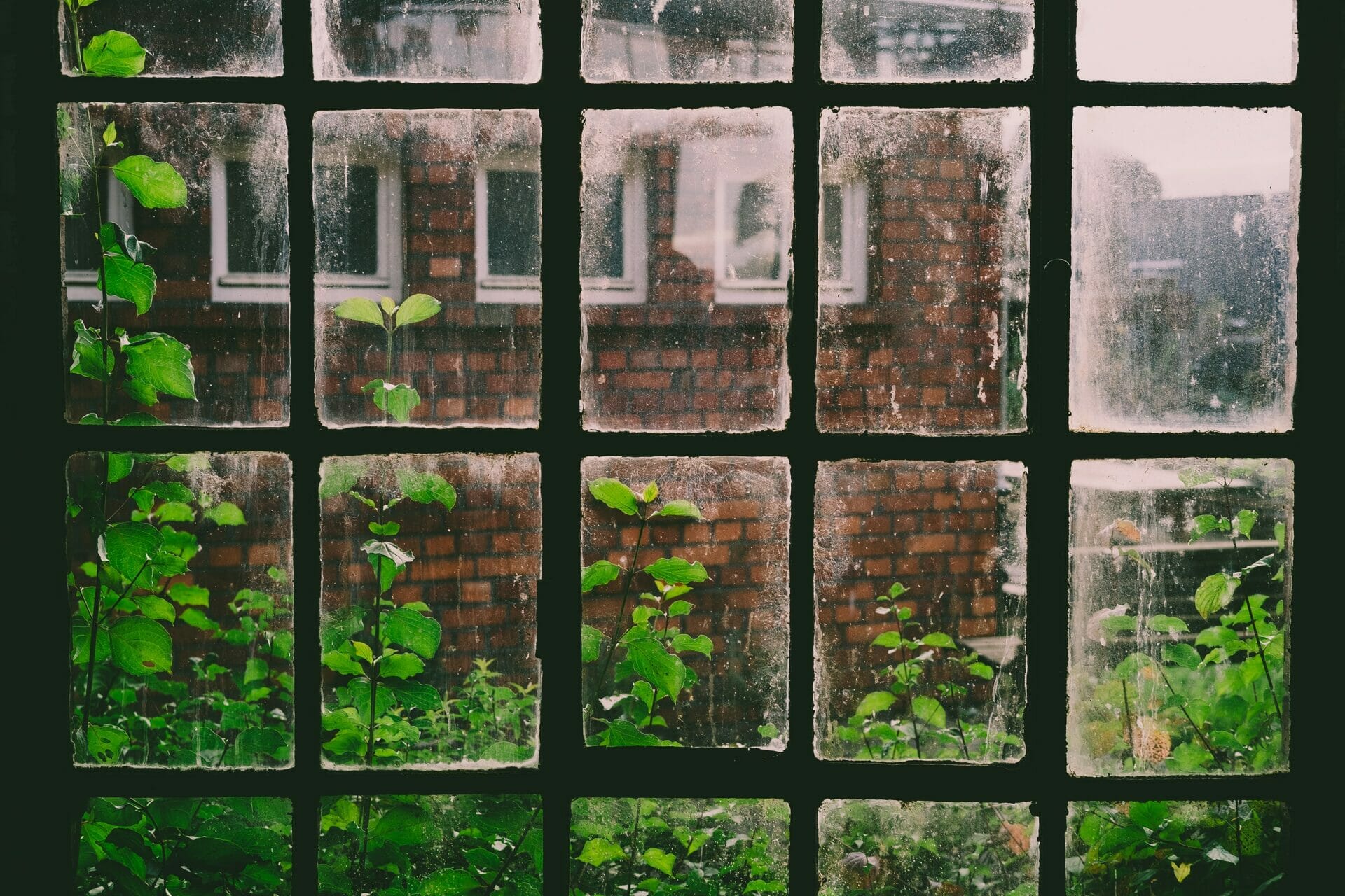 Doorzichtige glas in lood ramen waardoor je een tuin ziet met groen en het huis van de overburen